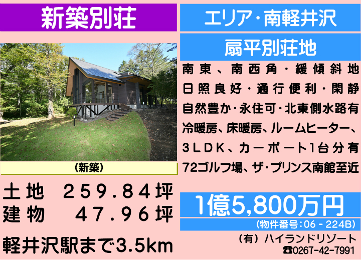 ԍF06-224B@y򒬑厚y@Vzʑ