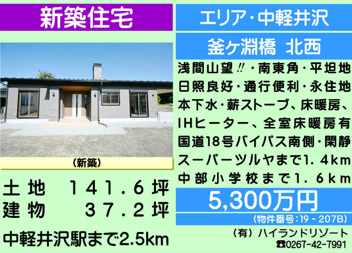 ԍF19-207B@y򒬑厚q@Vz