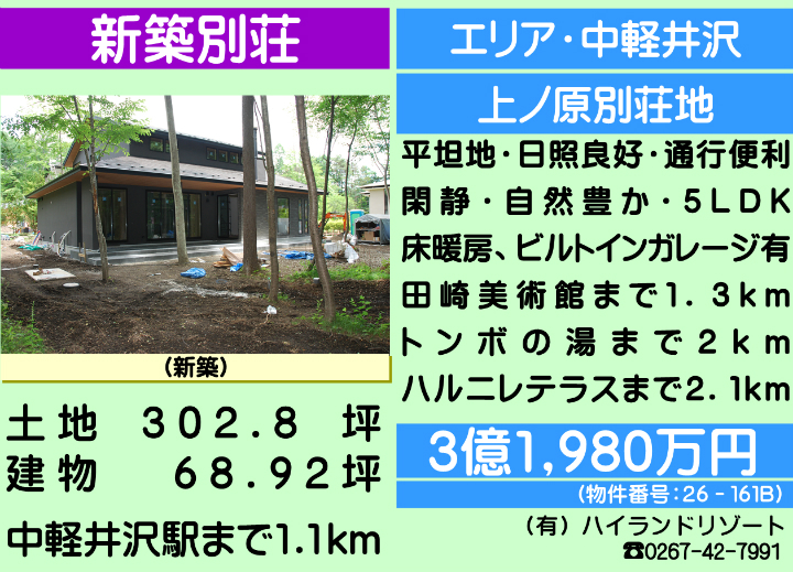 ԍF26-161B@y򒬑厚q@Vzʑ