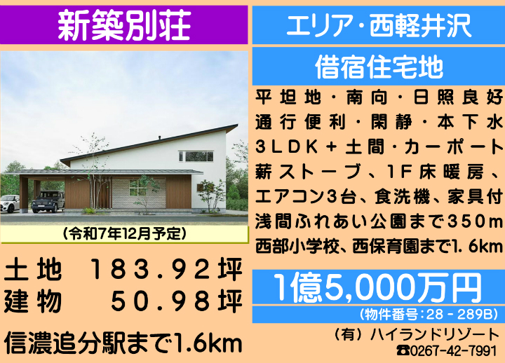 ԍF28-289B@y򒬑厚q@Vzʑ