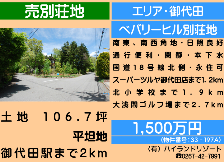 ԍF33-197A@c厚n@yn